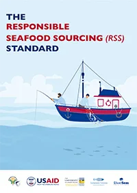 RSS Standard and Tools 3 BSP Infographics RSS Standard and Tools
