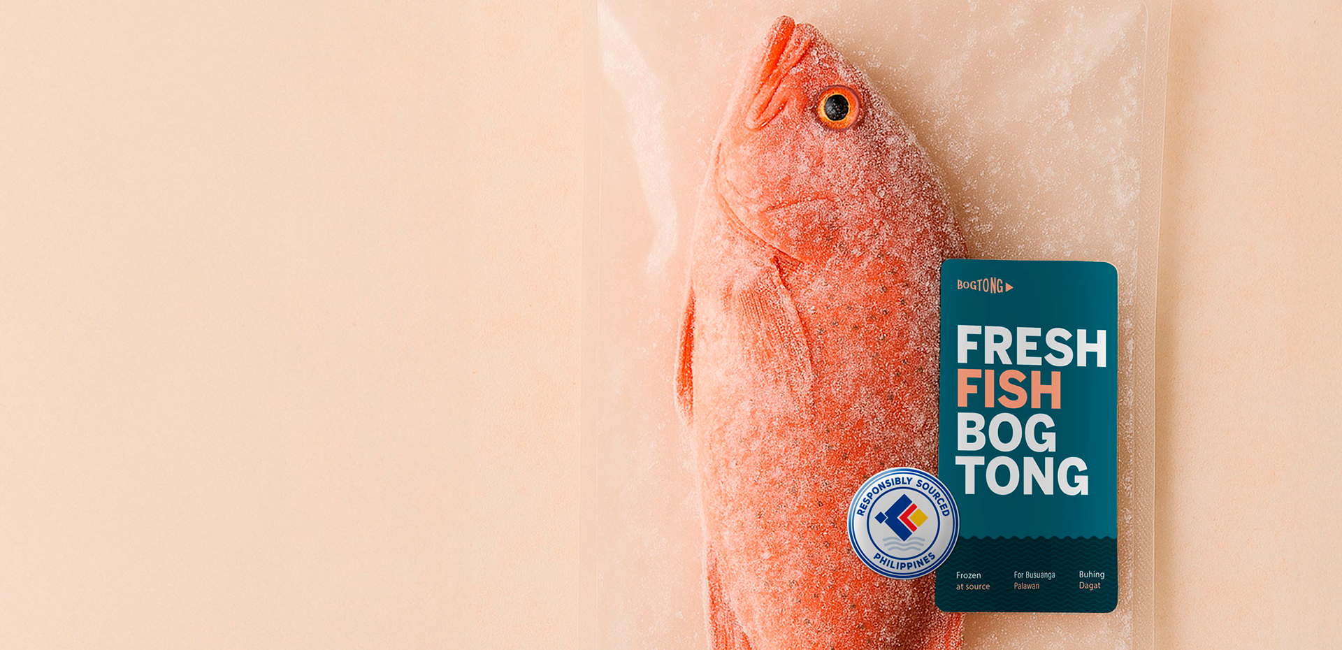 Home 3 HomeBanner fish Home