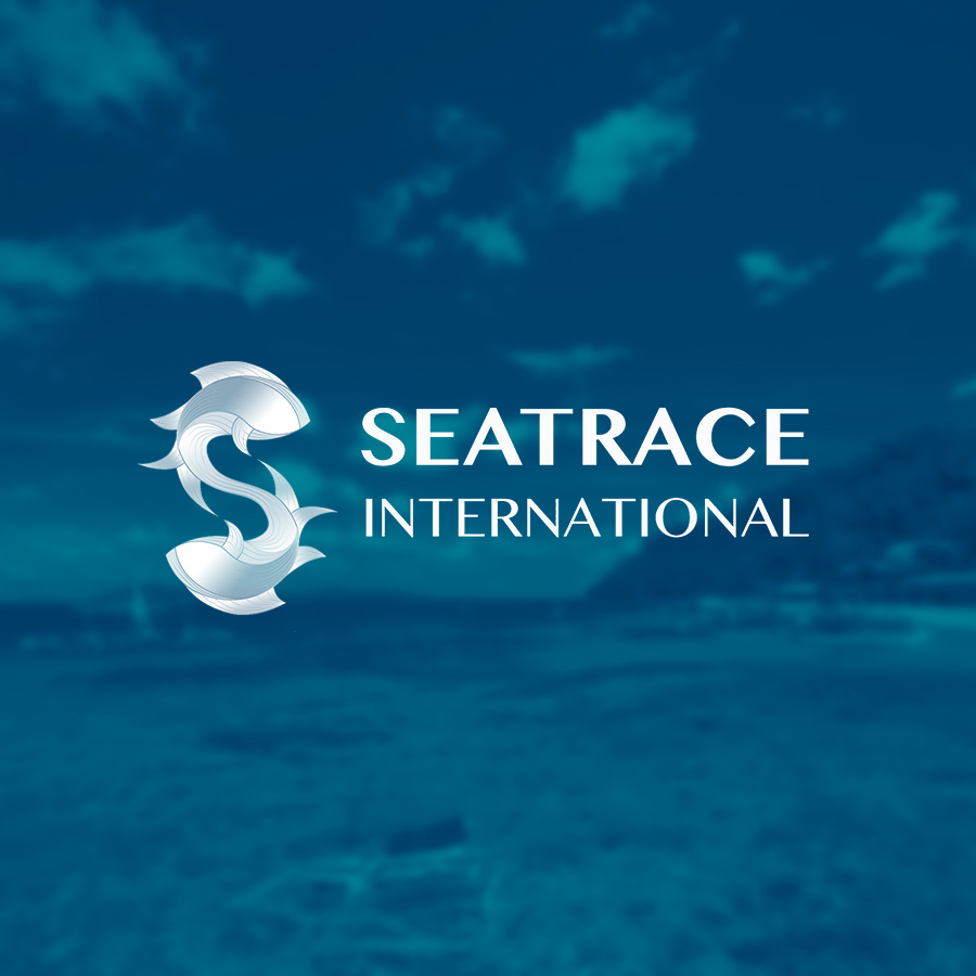 News and Stories 13 Logo Seatrace Blog News and Stories